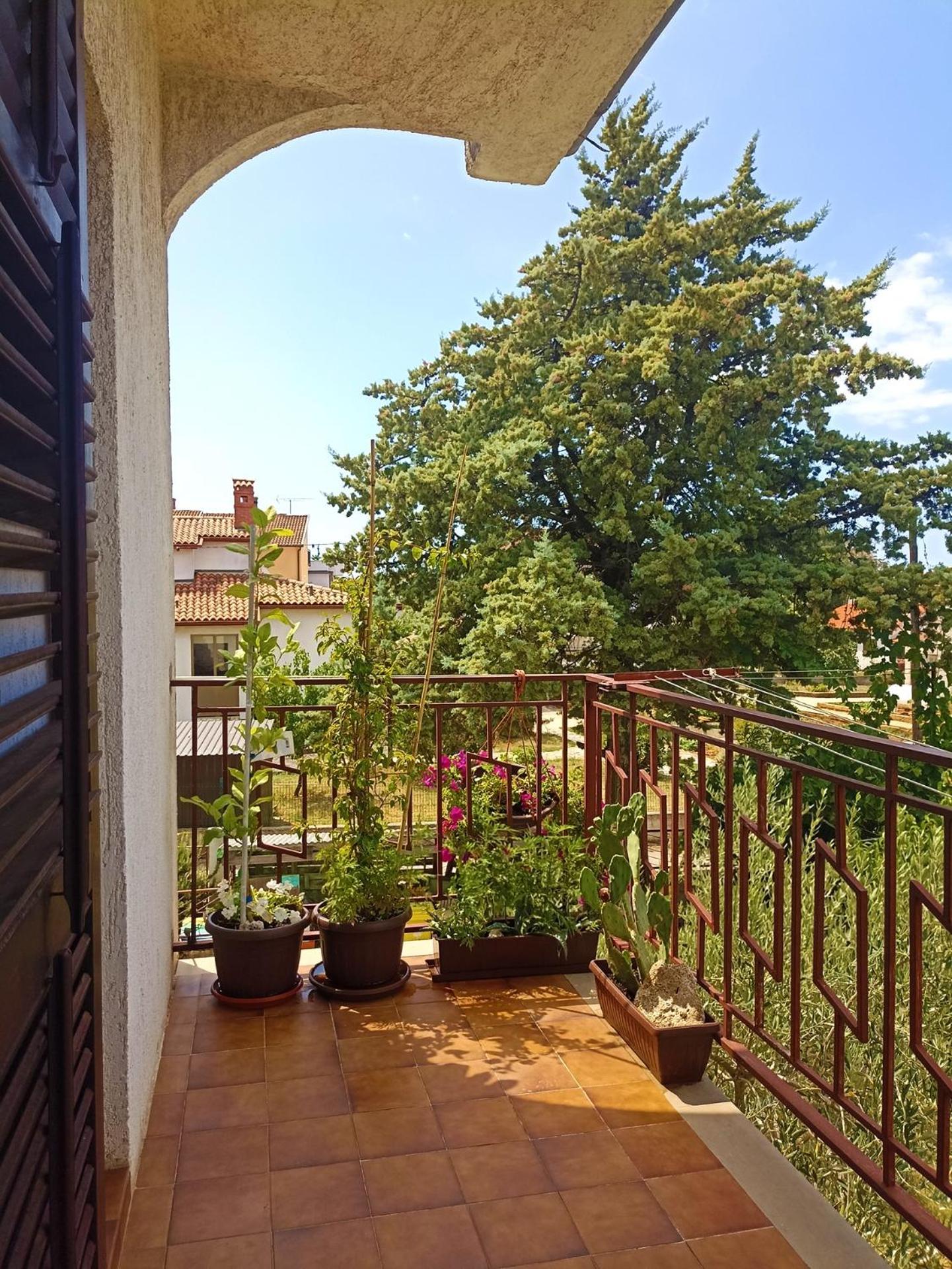 Apartments Villa Laura Pula Exterior foto
